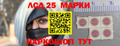 кокс Гатчина