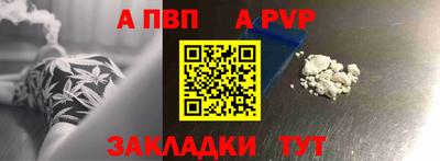 кокс Гатчина