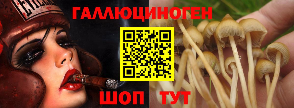 Дедовск  дарнет шоп  Вход с VPN  Псилоцибиновые грибы Psilocybe  Галлюциногенные грибы мухоморы 